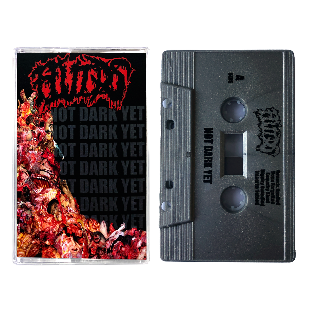 Fluids 'Not Dark Yet' Cassette