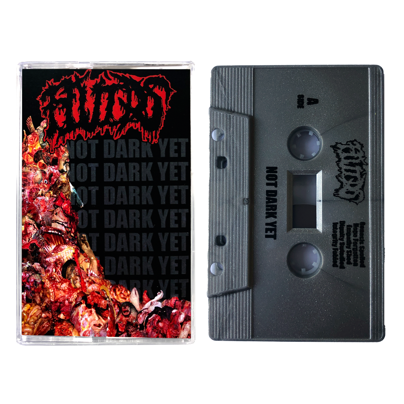 Fluids 'Not Dark Yet' Cassette