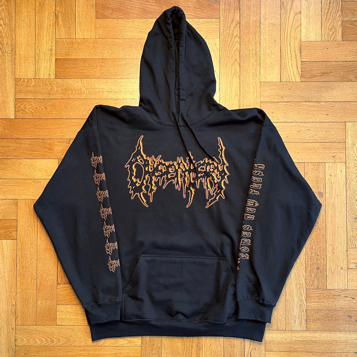 Dysentery 'From Past Suffering Comes New Flesh' Hoodie