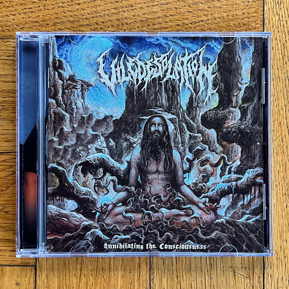 Vile Desolation 