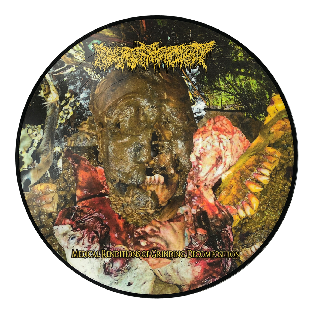 Pharmacist 'Medical Renditions Of Grinding Decomposition' Picture Disc LP