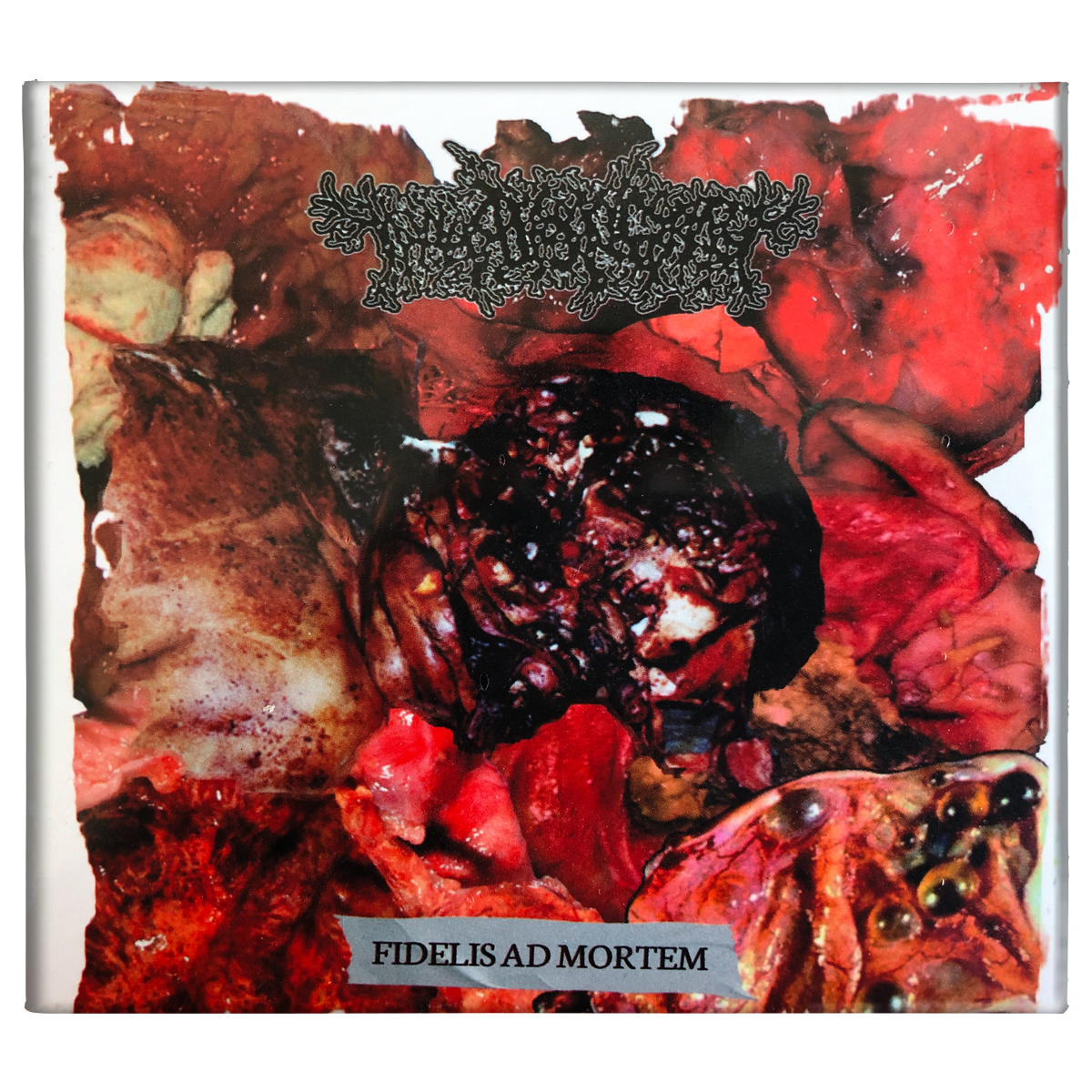 Thanatopsis 'Fidelis Ad Mortem' CD