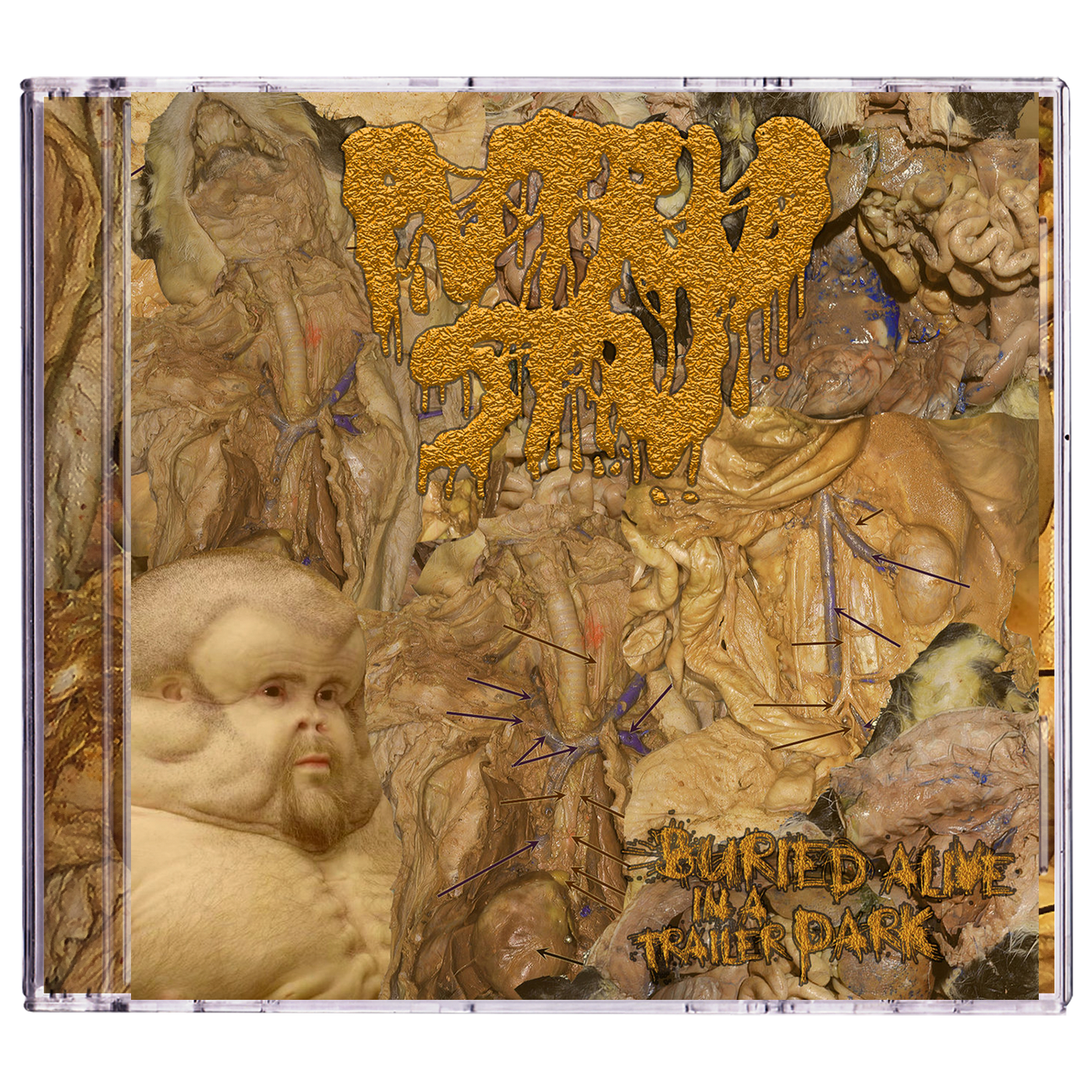 Putrid Stu 'Buried Alive in a Trailer Park' CD