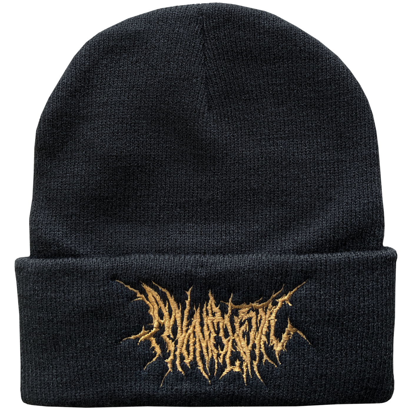 Anomalistic Beanie