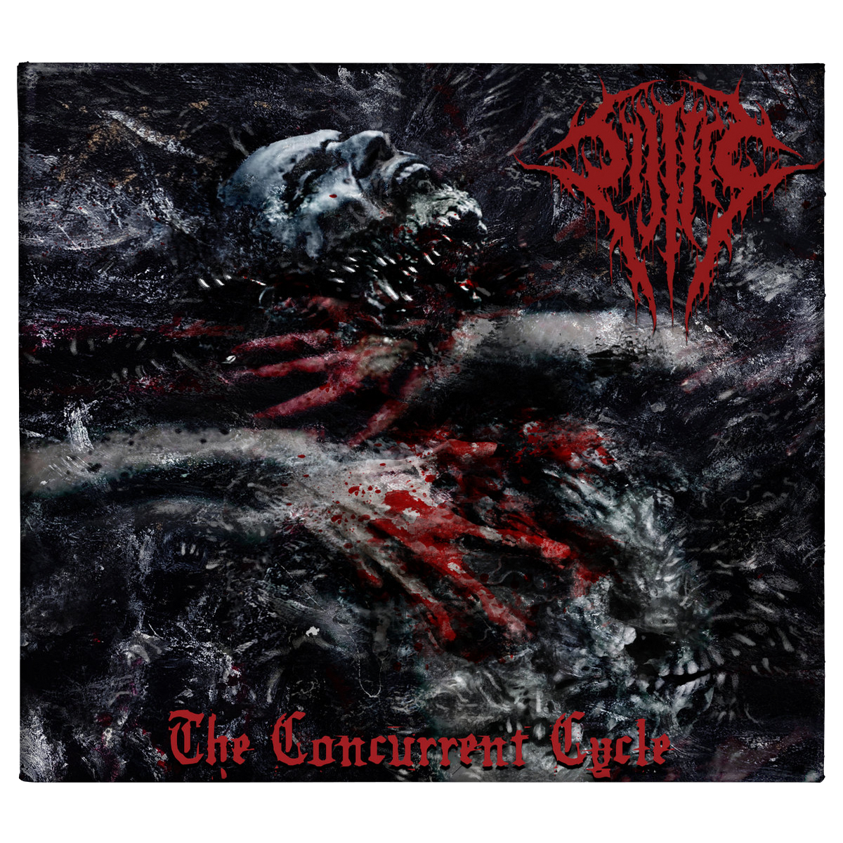 Sijjeel 'The Concurrent Cycle' CD